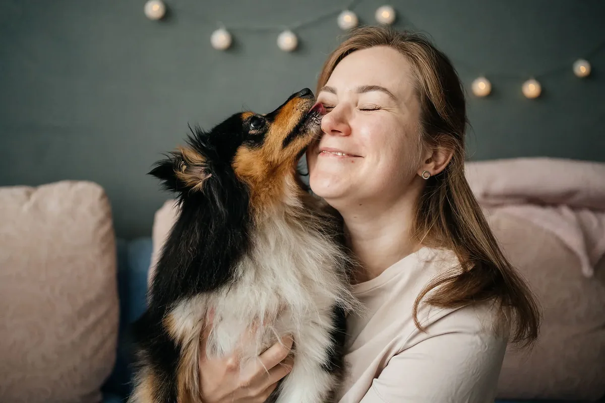 Dog exposure linked to various infections beyond bites