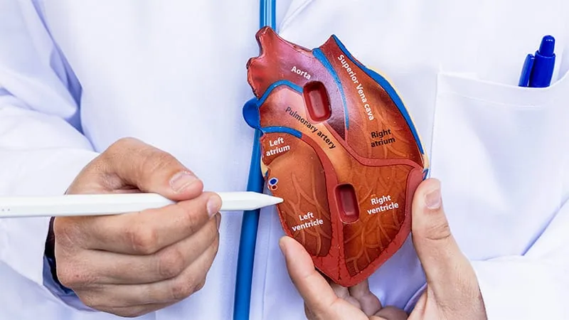 Apical rotation linked to heart clot risk after heart attack