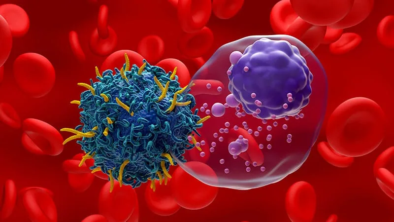 New Treatment Shows Longer Survival in Myeloma Patients