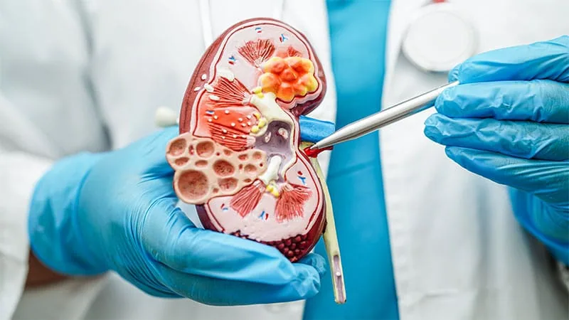 Intensive Blood Pressure Control May Lower Heart Risk but Affect Kidneys