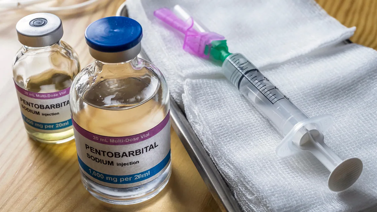 Survivor Awakens After Execution-Style Lethal Injection