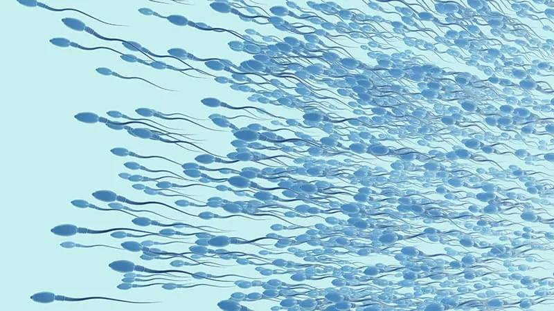 Lab-Grown Sperm Cells Created in Test-Tube Experiment
